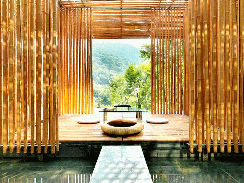 africa_afrique_forêt_forest_deforestation_sustainable__wood_bois_culture_agriculture_asia_asie_china_chine_india_inde_vietnam_laos_bali_development_architecture_house_moso_bambou_bamboo_bambu_bambusa_développement_durable_cop_21